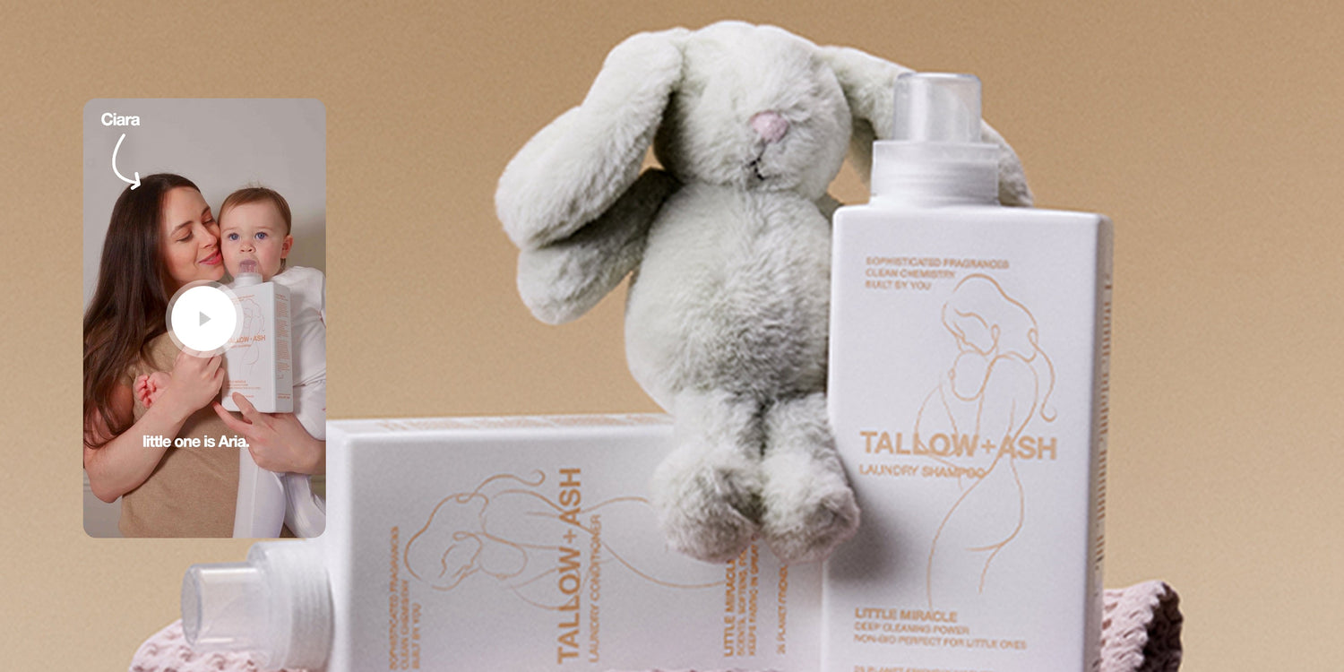 The Story of Little Miracle 🤍