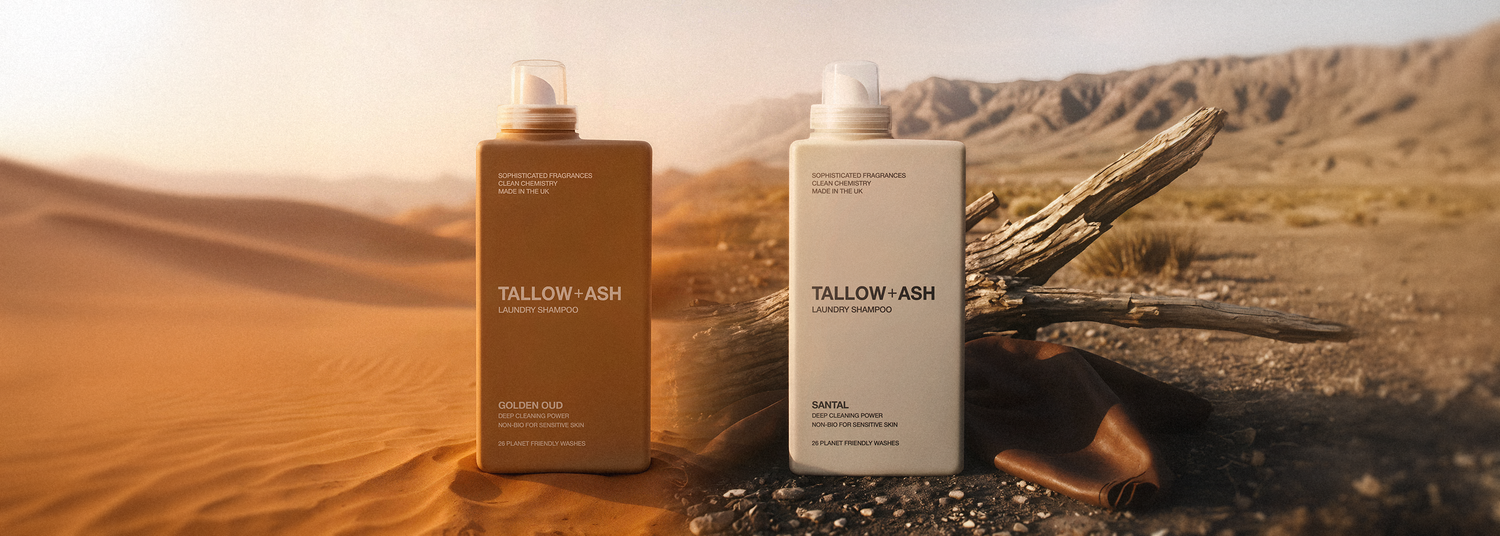 Introducing, Santal & Golden Oud