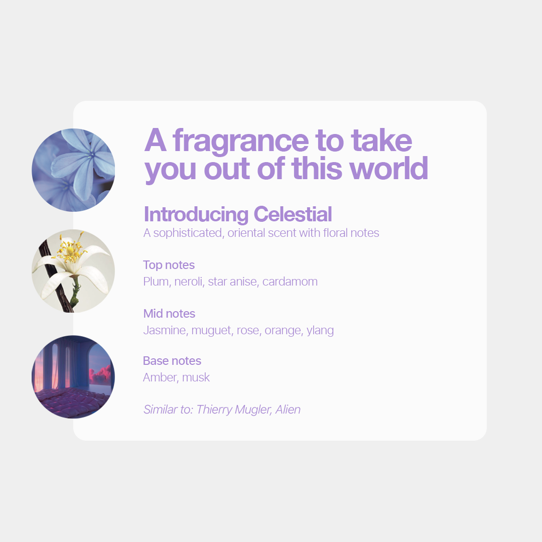 Celestial Laundry Shampoo + Conditioner