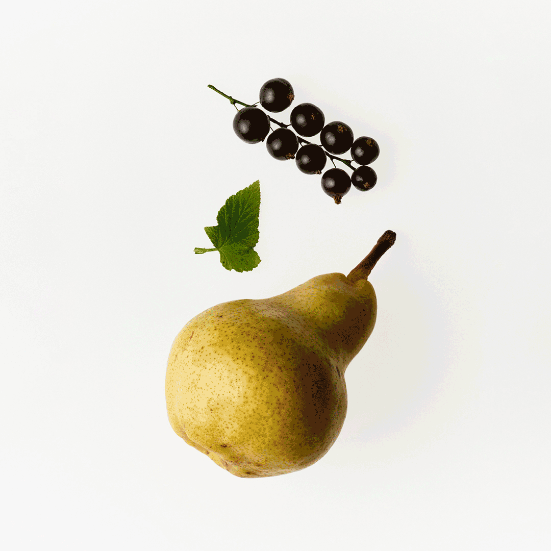 Fresh Pistachio Laundry Shampoo + Conditioner Refill