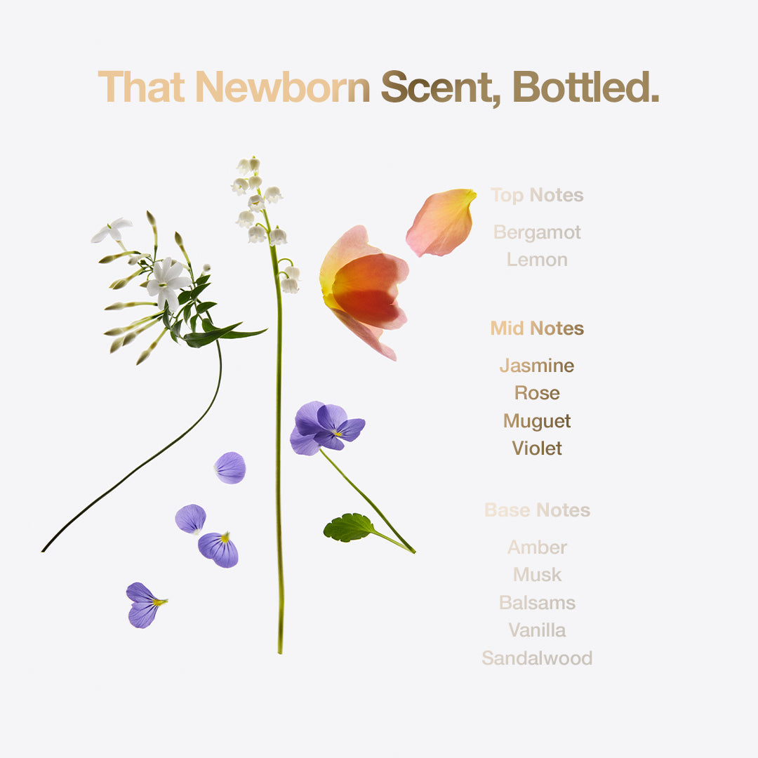 12 Bottles of Little Miracle