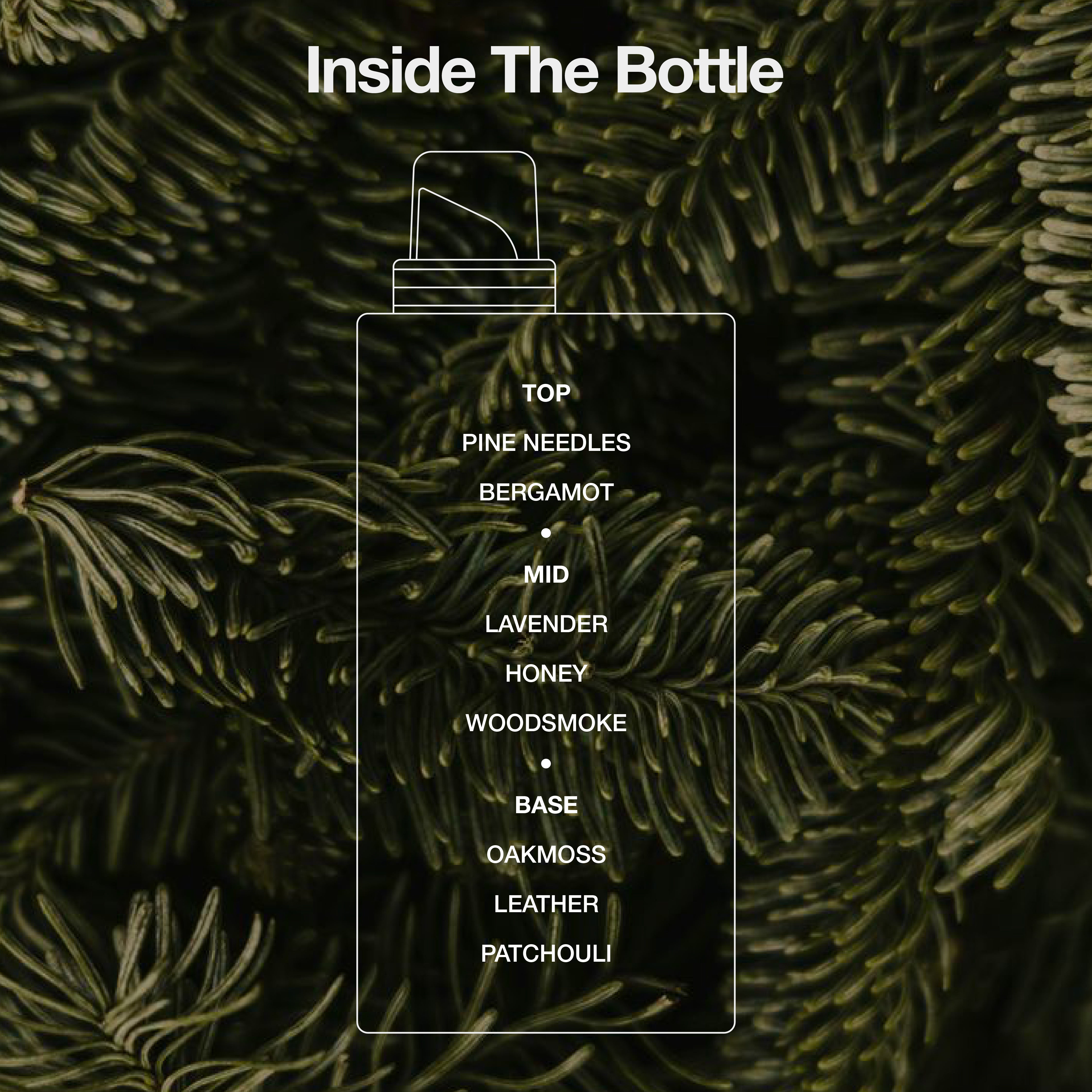 Chemis-tree Laundry Conditioner Duo