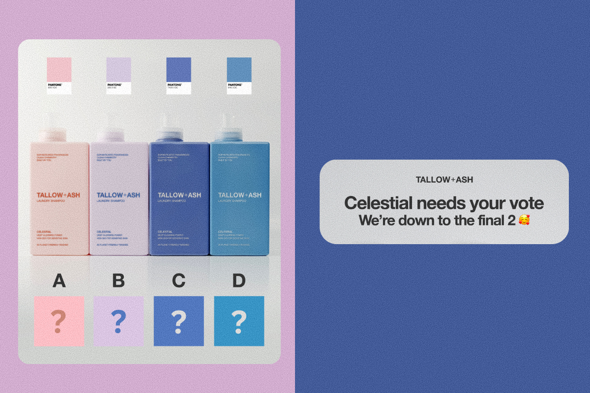 Which one should we go for?