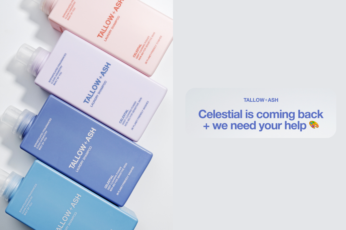 Big News: Celestial is Returning!