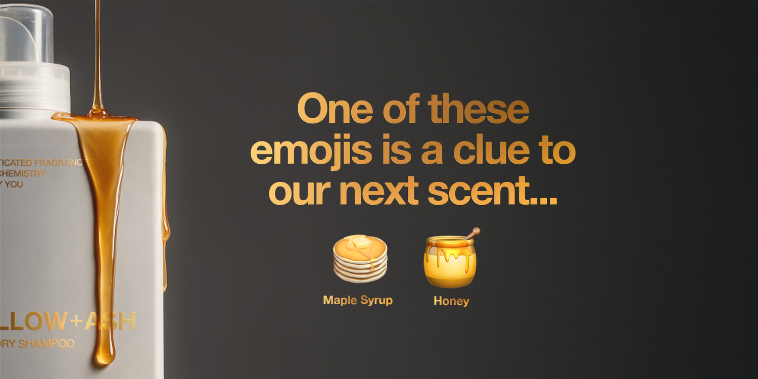 Can you guess? 👀