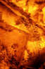 Amber