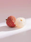 Lychee
