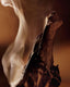 Oudh Accord