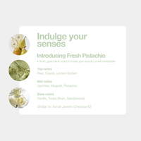 Fresh Pistachio Stain Reversing Set