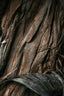 Vanilla Wood